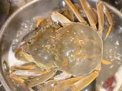 -领鲜活海鲜榴莲自助火锅(东门店)