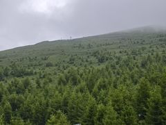 -三道菜(明堂公园店)