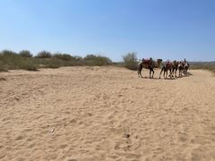 -水洞沟旅游区