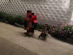 -兰纳泰式spa(古城店)