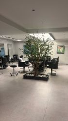 -付军剪艺JF ProSalon