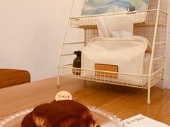 -半勺舒舒生日蛋糕店