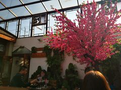 -丽江庭院之爱在路上(西单店)