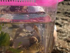 -青岛第三海水浴场