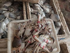 -四海蒸鲜蒸汽海鲜自助(北戴河店)