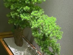 -耳域躺式采耳SPA馆(新街口店)