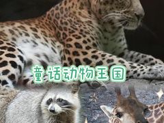 -长鹿旅游休博园