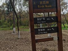 -高尔山公园