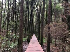 -同里国家湿地公园