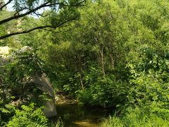 -碓臼峪自然风景区