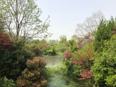 -桃花岛景观公园