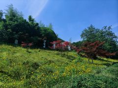 -南京市江宁方山