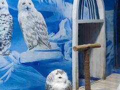 -成都浩海立方海洋公园