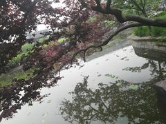 -嘉定紫藤园