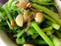 -清雅轩·清真菜·传统菜•融合菜(滑翔店)
