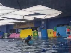 -龙格亲子游泳·水育早教运动中心(绿城店)