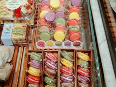 -多乐之日(和平伊势丹店)