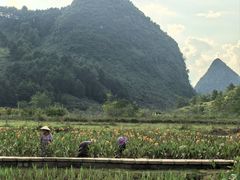 -靖西鹅泉风景区