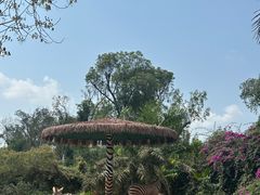-海南热带野生动植物园