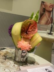 -明潪Selfology升维护理中心