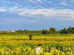 -汉长安城未央宫国家考古遗址公园