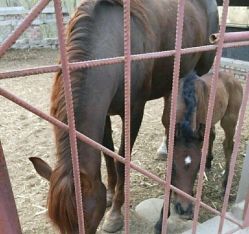 -萌宠亲子动物乐园(槐房万达店)