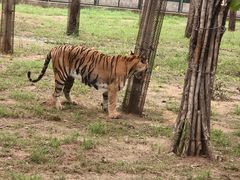 -秦皇岛野生动物园