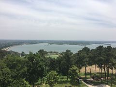 -同銮特种养殖场·龙虾垂钓