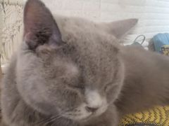 -平行世界·猫咖(首经贸店)