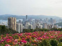 -梧桐山风景名胜区