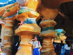 -美的鹭湖探索王国