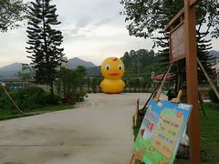 android_upload_pic-盈香心动乐园