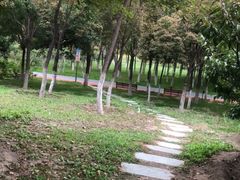 -大兴滨河森林公园