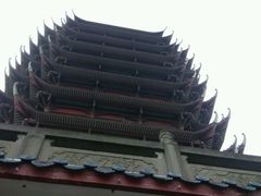 -眉山湿地公园(东坡区)