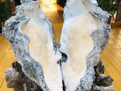-蓝湾碧波·老字号·疍家非遗海上餐厅