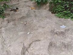 -青岩寺风景区