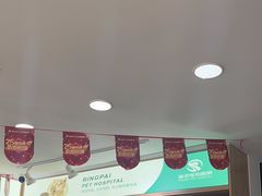 -瑞派长江宠物医院·猫科·外科·24小时夜护(谊城公寓分院)