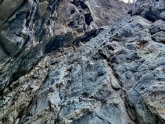 -定都阁