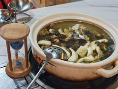 -蘑统田下·野生菌火锅