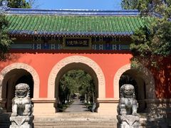 -灵谷景区