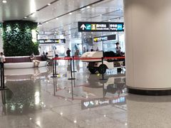 -麦当劳(北京大兴机场二层国内到达(安检外)店)