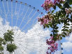 -南昌之星游乐场