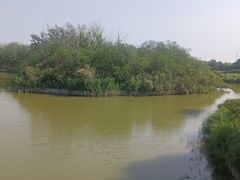 -塘沽森林公园