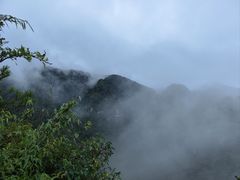 -牛背梁国家森林公园