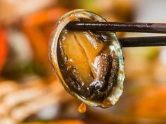 小鲍鱼-七欣天(浦东羽山乐坊店)