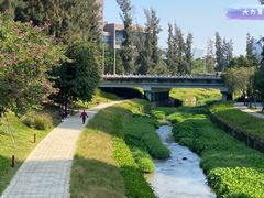 -深圳大学总医院