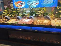 -千家粗粮王·火锅烧烤自助(庆阳店)