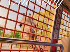 -上海野生动物园
