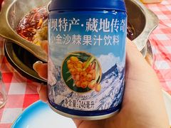 -金鼎雪山牦牛杂火锅(理县总店)