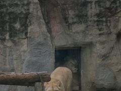 -成都动物园